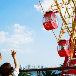 Ferris Wheel Wave